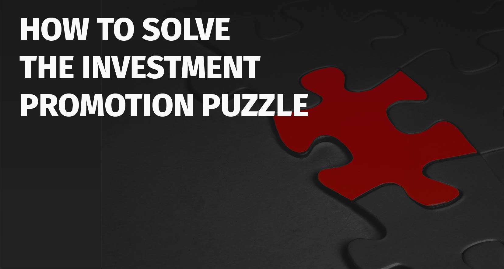 Investment Promotion